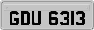 GDU6313
