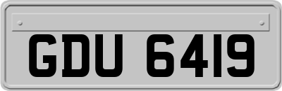 GDU6419