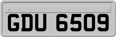 GDU6509