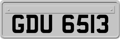 GDU6513