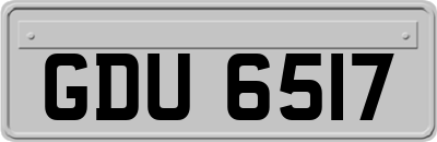 GDU6517