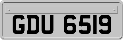 GDU6519