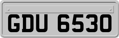 GDU6530
