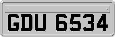 GDU6534