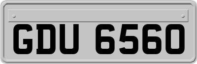 GDU6560