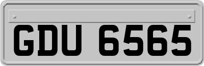 GDU6565