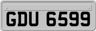 GDU6599