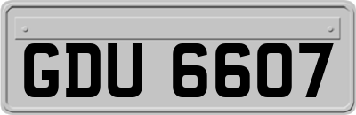GDU6607