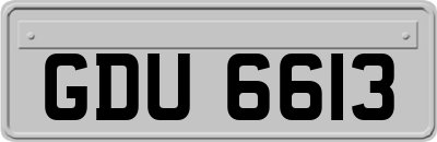 GDU6613