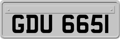 GDU6651