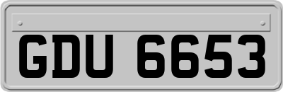 GDU6653