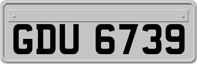 GDU6739