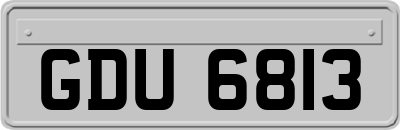 GDU6813
