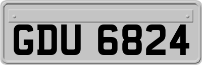 GDU6824