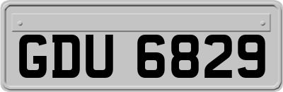 GDU6829