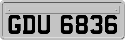 GDU6836