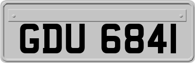 GDU6841