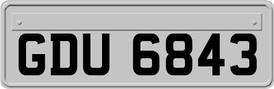 GDU6843