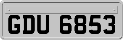 GDU6853