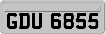 GDU6855
