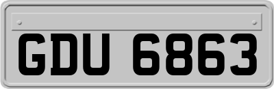 GDU6863