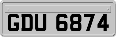 GDU6874