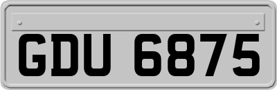 GDU6875