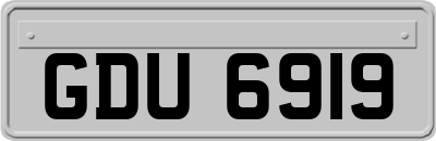 GDU6919