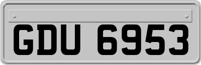 GDU6953