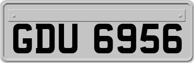 GDU6956
