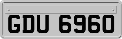 GDU6960