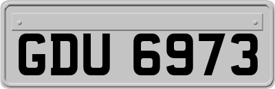GDU6973