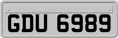 GDU6989