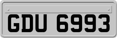 GDU6993