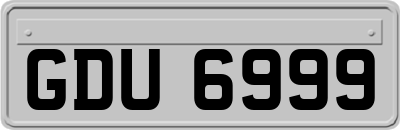 GDU6999