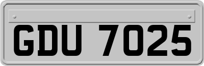GDU7025