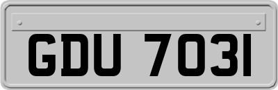 GDU7031