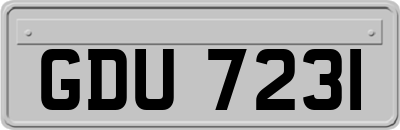 GDU7231