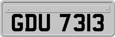 GDU7313