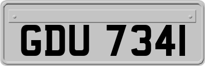 GDU7341