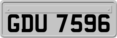 GDU7596