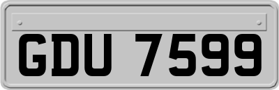 GDU7599
