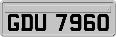 GDU7960