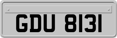 GDU8131