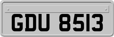 GDU8513