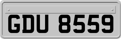 GDU8559