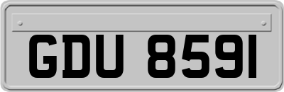GDU8591