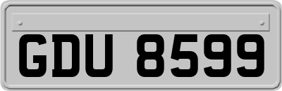 GDU8599
