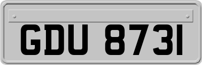 GDU8731