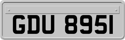 GDU8951